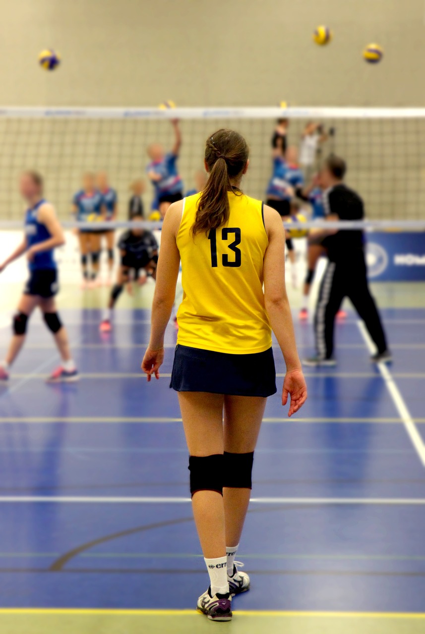 sports club management system